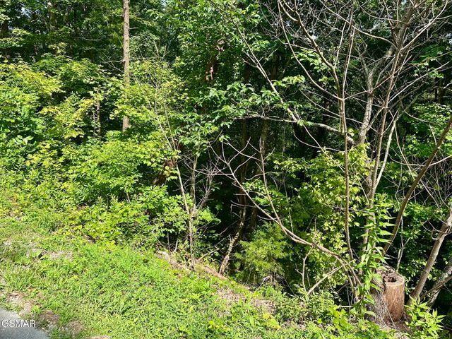 0 Dogwood Drive, Sevierville, TN 37876