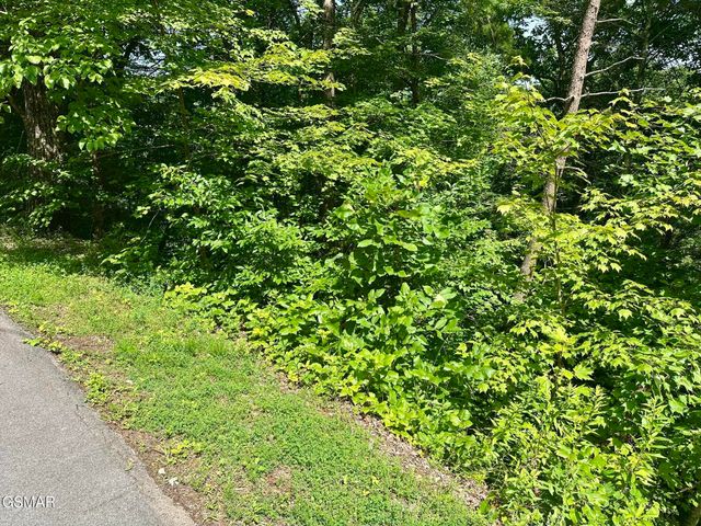 0 Dogwood Drive, Sevierville, TN 37876