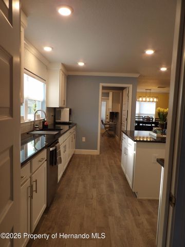 12789 Hilary Street, Spring Hill, FL 34609