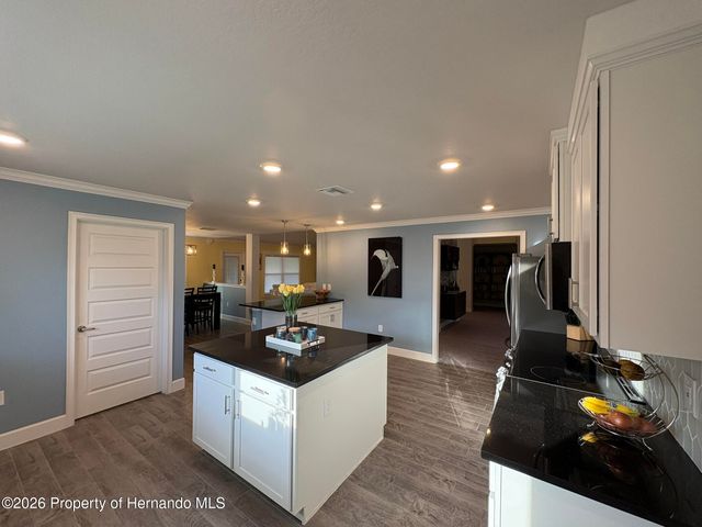 12789 Hilary Street, Spring Hill, FL 34609