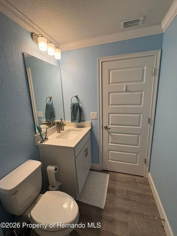 12789 Hilary Street, Spring Hill, FL 34609