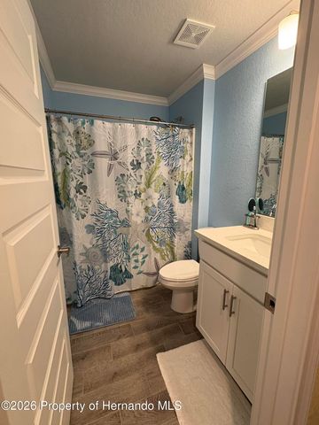 12789 Hilary Street, Spring Hill, FL 34609