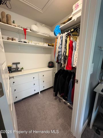 12789 Hilary Street, Spring Hill, FL 34609