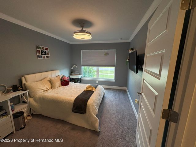 12789 Hilary Street, Spring Hill, FL 34609