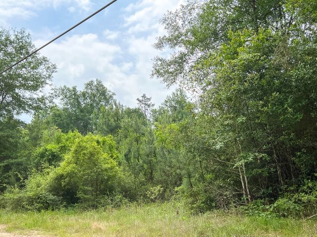 013 Old Arco Rd, Silsbee, TX 77656