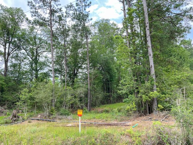 013 Old Arco Rd, Silsbee, TX 77656