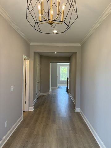 30 Buckhorn Court, Fairview, TN 37062