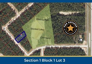 126 Hollow Hill Drive, New Waverly, TX 77358