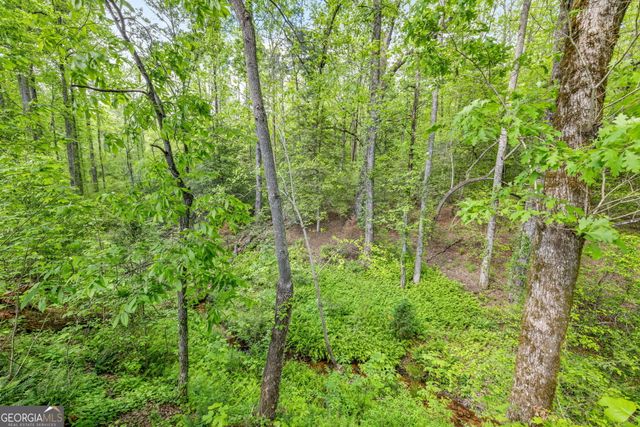 135 Mountain Ridge Drive, Clarkesville, GA 30523