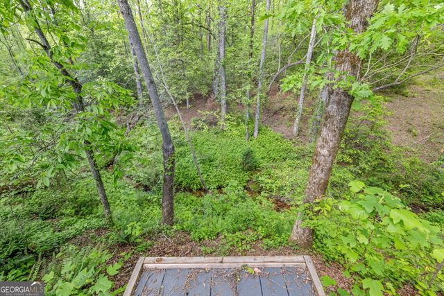 135 Mountain Ridge Drive, Clarkesville, GA 30523