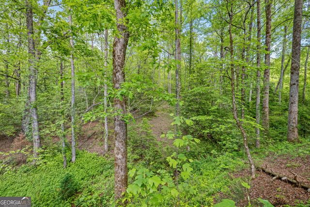 135 Mountain Ridge Drive, Clarkesville, GA 30523