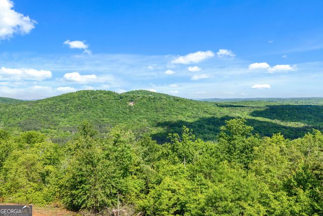 135 Mountain Ridge Drive, Clarkesville, GA 30523