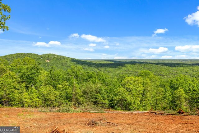 135 Mountain Ridge Drive, Clarkesville, GA 30523