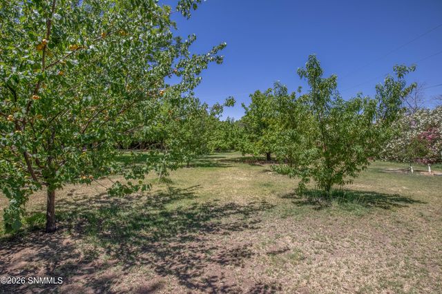 4735 Campbell Road, Las Cruces, NM 88007