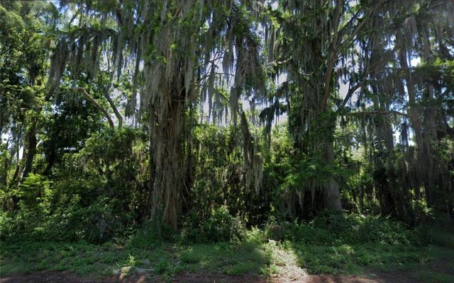 Unassigned LAKESHORE DRIVE, Eustis, FL 32726