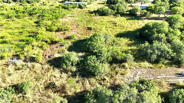 810 E FM 771, Riviera, TX 78379