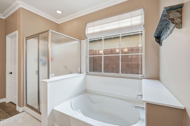 18358 W TASHA Drive, Surprise, AZ 85388