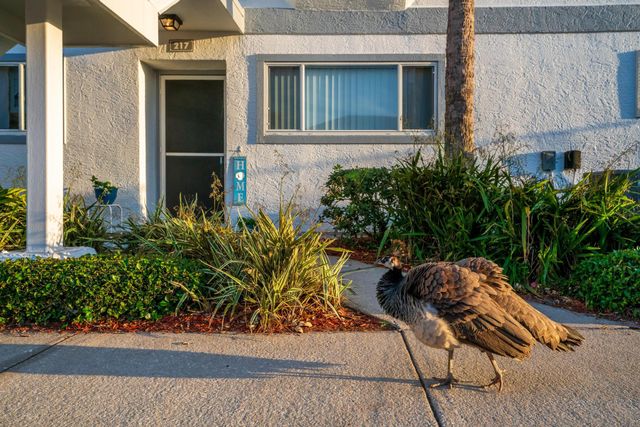 217 Ocean Park Lane Lane V49, Cape Canaveral, FL 32920