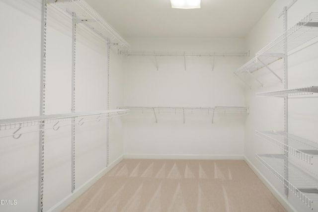 12413 Draco Road, Raleigh, NC 27614