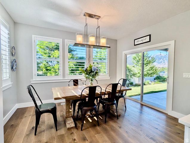 1332 W SALMON CADDIS DR, Bluffdale, UT 84065