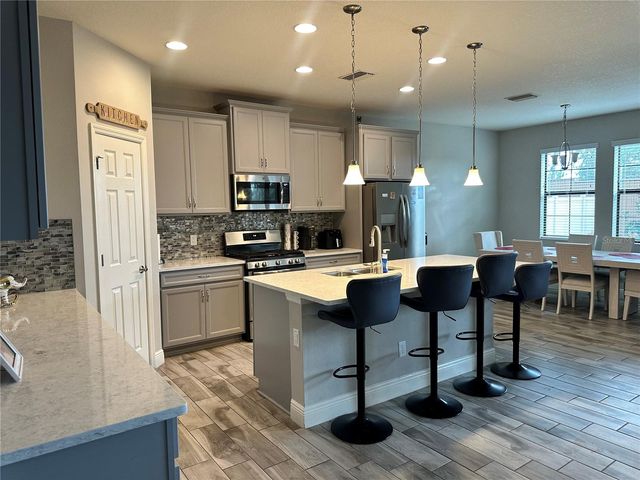 12990 BURNS DRIVE, Odessa, FL 33556