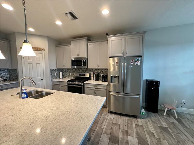 12990 BURNS DRIVE, Odessa, FL 33556