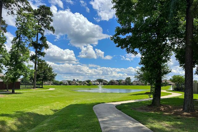 25981 N Kings Mill Lane, Kingwood, TX 77339