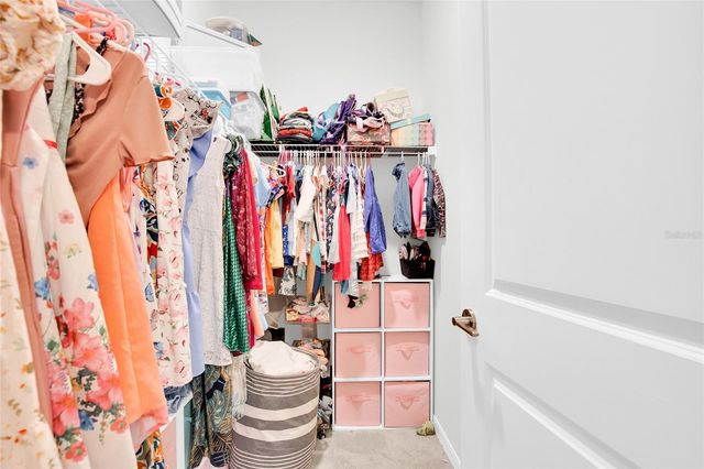 32289 CONCHSHELL SAIL STREET, Wesley Chapel, FL 33545