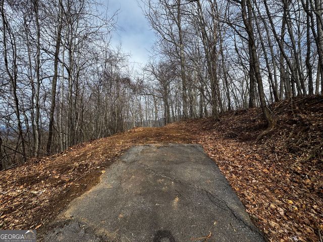 20 ACRES Burnt Leaf Lane, Hayesville, NC 28904