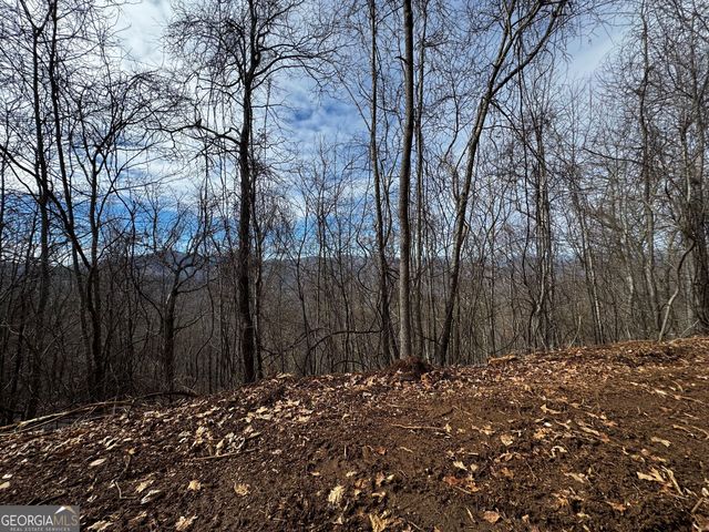 20 ACRES Burnt Leaf Lane, Hayesville, NC 28904