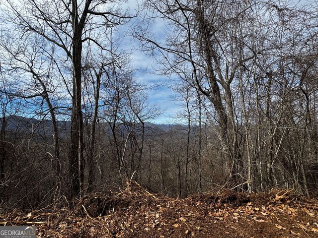 20 ACRES Burnt Leaf Lane, Hayesville, NC 28904