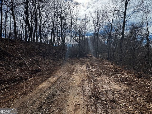 20 ACRES Burnt Leaf Lane, Hayesville, NC 28904