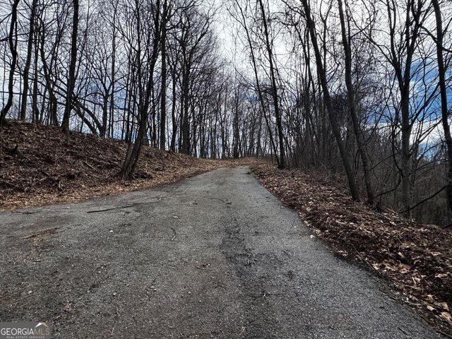 20 ACRES Burnt Leaf Lane, Hayesville, NC 28904