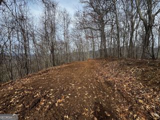 20 ACRES Burnt Leaf Lane, Hayesville, NC 28904