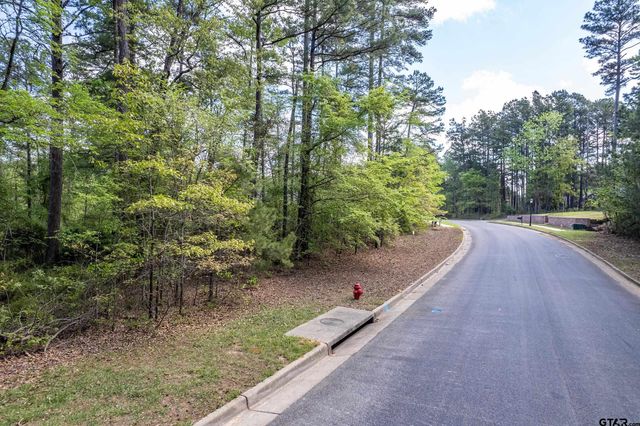 4028 Hanover Place, Tyler, TX 75701
