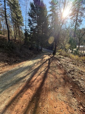 979 Dorothy Way, West Point, CA 95255