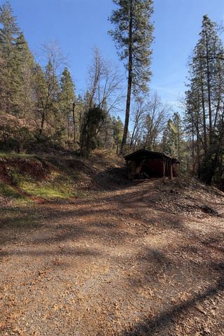 979 Dorothy Way, West Point, CA 95255