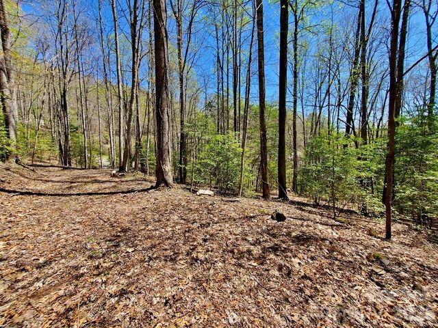 Lot 9 Hemlock Falls Drive 9, Sylva, NC 28779