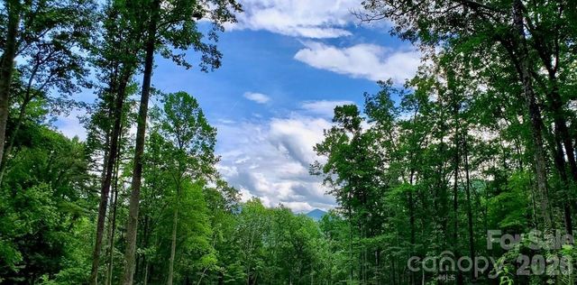 Lot 9 Hemlock Falls Drive 9, Sylva, NC 28779