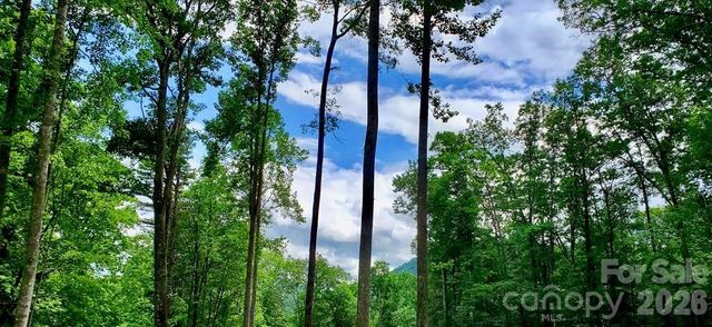 Lot 9 Hemlock Falls Drive 9, Sylva, NC 28779