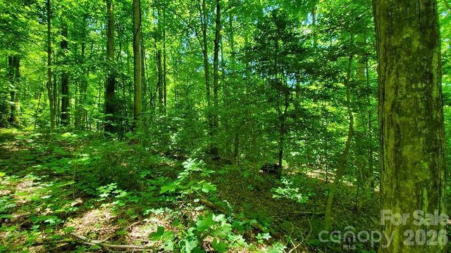 Lot 9 Hemlock Falls Drive 9, Sylva, NC 28779