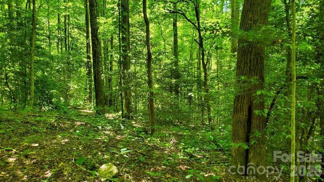 Lot 9 Hemlock Falls Drive 9, Sylva, NC 28779