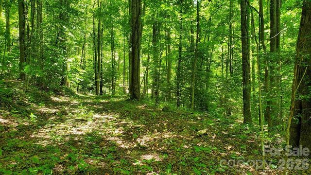 Lot 9 Hemlock Falls Drive 9, Sylva, NC 28779