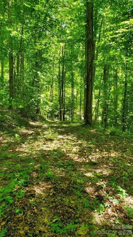 Lot 9 Hemlock Falls Drive 9, Sylva, NC 28779