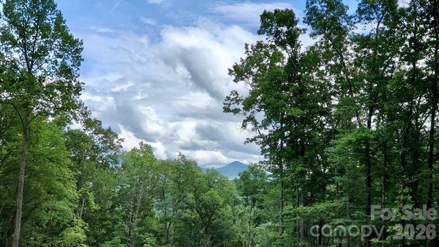 Lot 9 Hemlock Falls Drive 9, Sylva, NC 28779