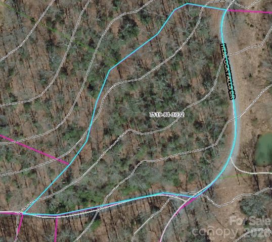 Lot 9 Hemlock Falls Drive 9, Sylva, NC 28779