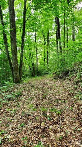 Lot 9 Hemlock Falls Drive 9, Sylva, NC 28779