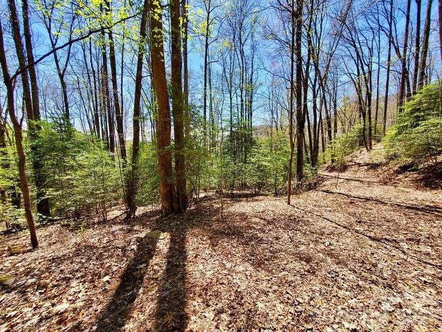 Lot 9 Hemlock Falls Drive 9, Sylva, NC 28779
