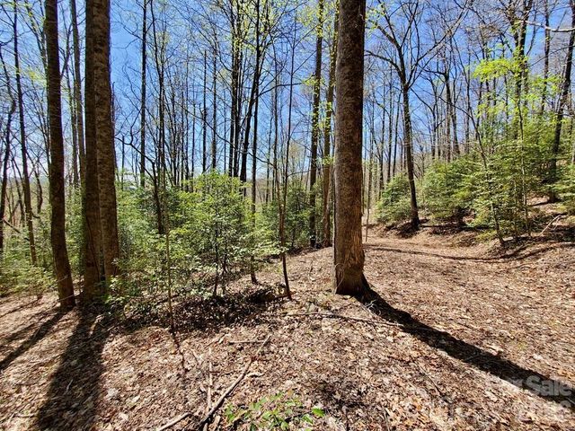 Lot 9 Hemlock Falls Drive 9, Sylva, NC 28779