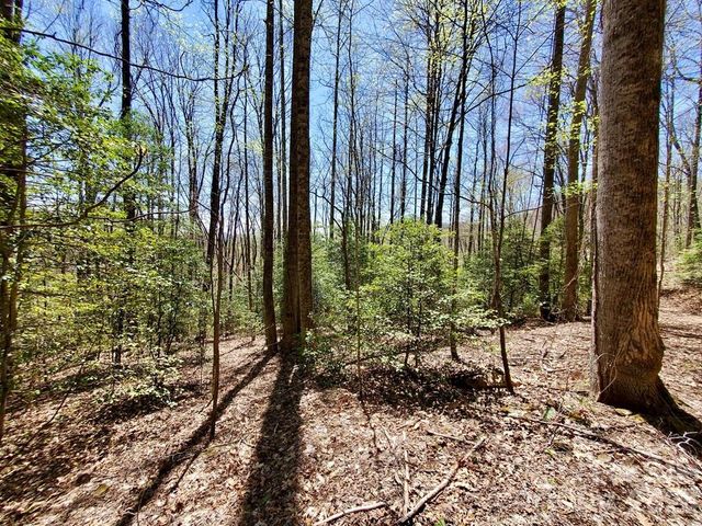 Lot 9 Hemlock Falls Drive 9, Sylva, NC 28779